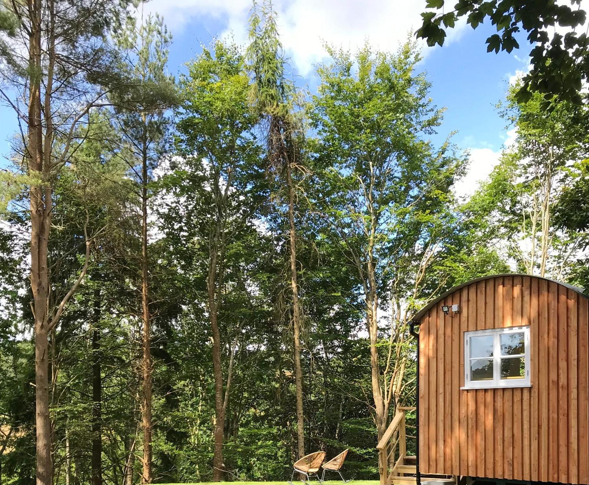 Shepherd'S Hut At Rosewood House 利斯卡德 外观 照片